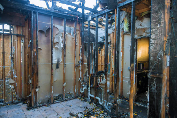 Professional Soot Cleanup technician working in Forest Lake, MN