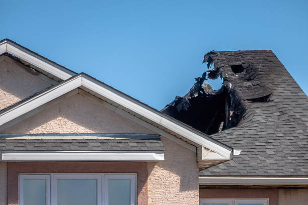 Top rated local Soot Cleanup specialists in Forest Lake, MN